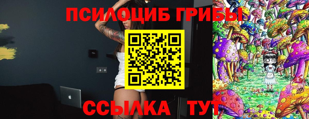 Псилоцибиновые грибы Psilocybe Ханты-Мансийск