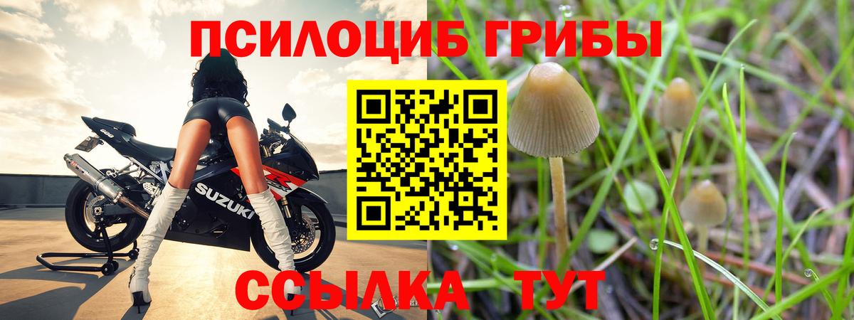 Галлюциногенные грибы Cubensis  Вход с VPN  Псилоцибиновые грибы ЛСД  Ханты-Мансийск 